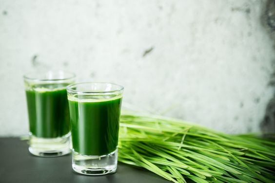 Hạt giống cỏ lúa mì Viethealthy 3kg