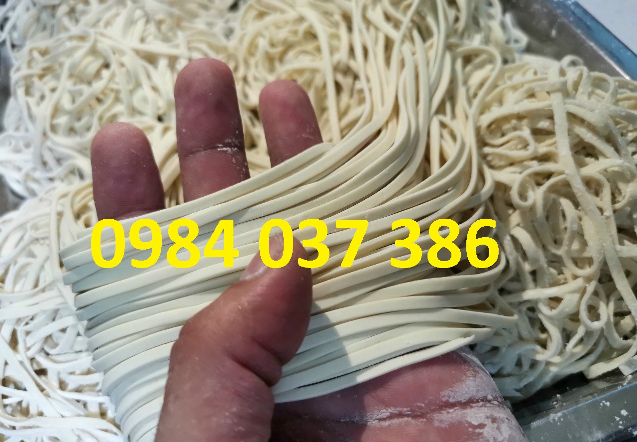 Máy cán bột cắt bột chạy điện FKM200
