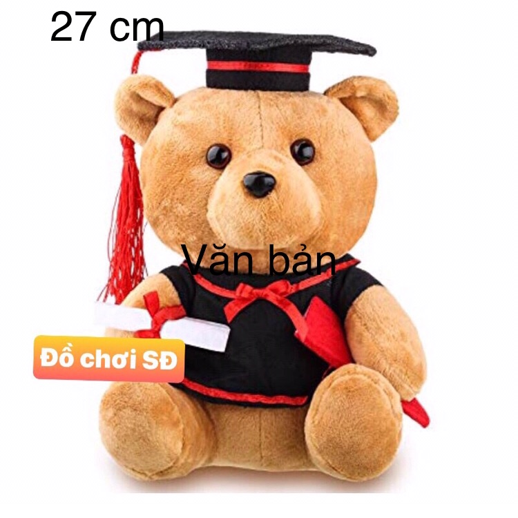 Thú bông gấu tốt nghiệp 27 cm