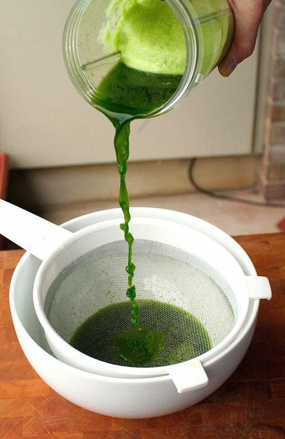 Hạt giống cỏ lúa mì Viethealthy 3kg