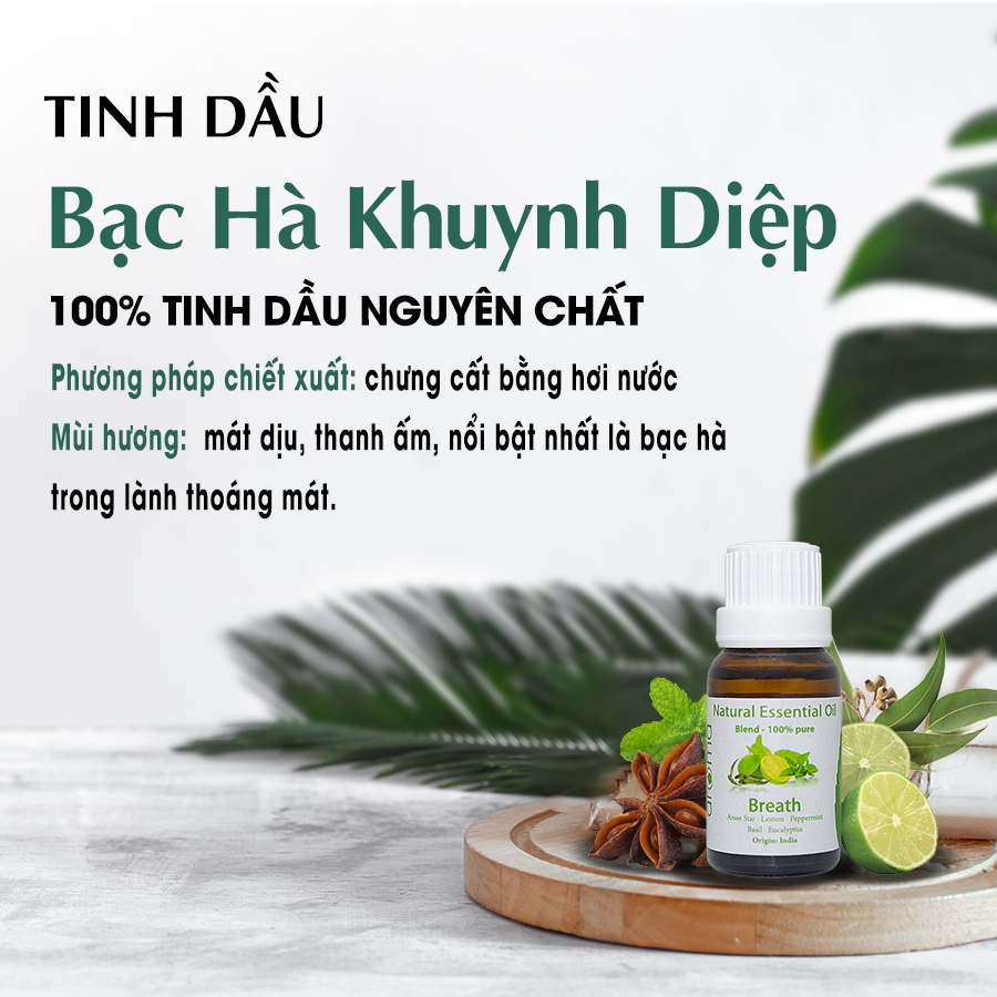 Tinh Dầu Aroma Bạc Hà Khuynh Diệp Breath - 10ml/15ml/30ml/50ml