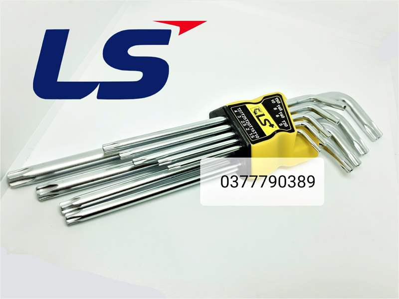 [HCM]bộ lục giác bông LS