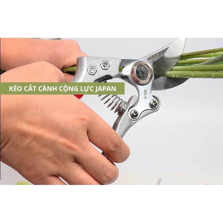 [HCM]Kéo cắt cành cây TOP hàng SK5 chuẩn Nhật