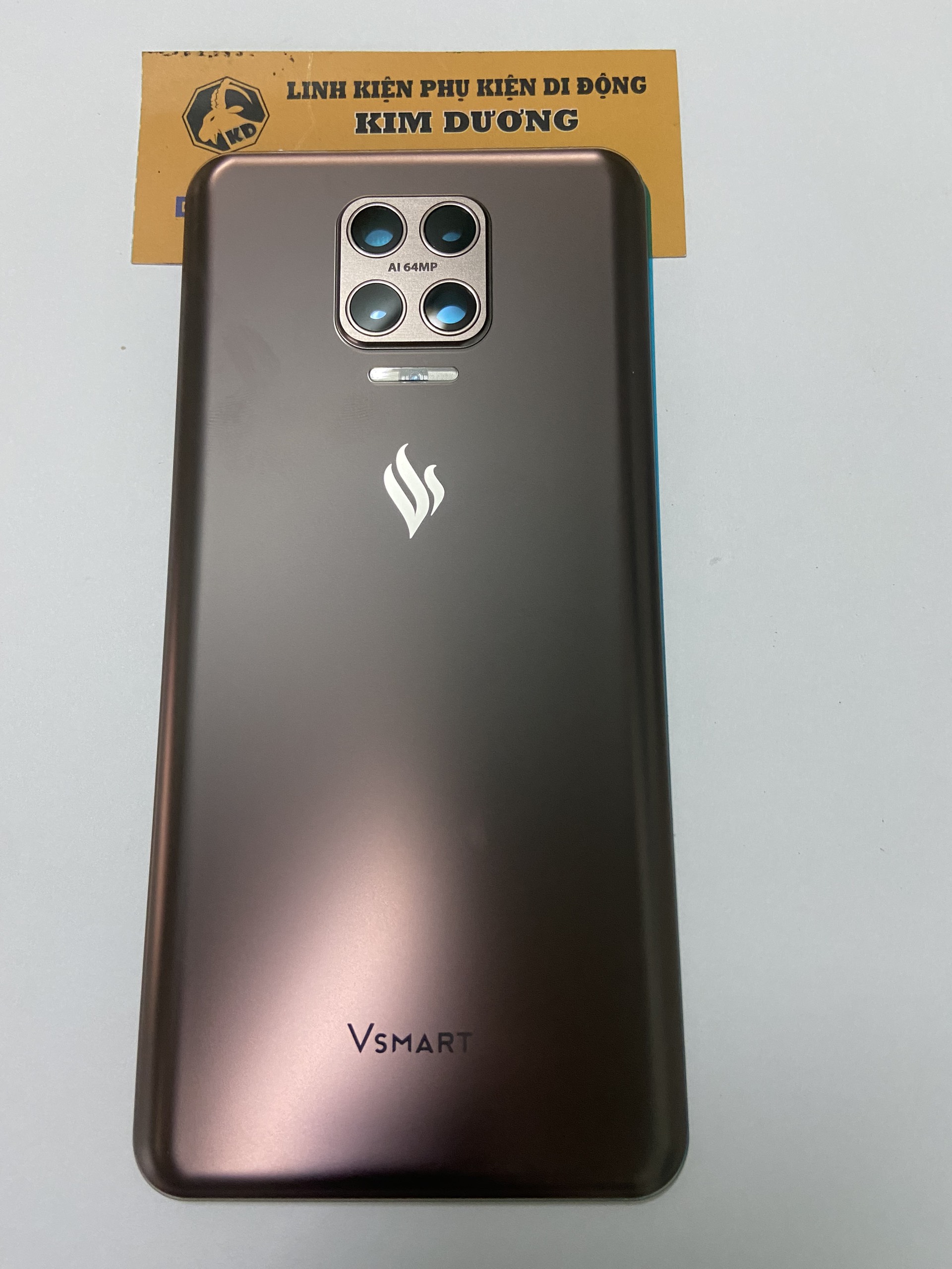 Nắp lưng kính Vsmart Aris/ Aris Pro liền kính camera