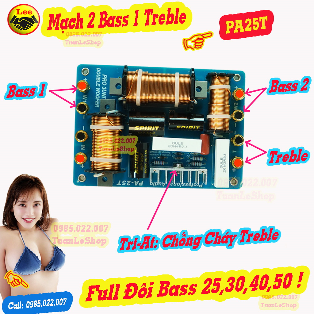 MẠCH FULL ĐÔI BASS 50, 40, 30, 25 - MẠCH PHÂN TẦN 2 BASS 1 TREBLE PA25T  - GIÁ 1 MẠCH - MẠCH LOA BASS ĐÔI CÔNG SUẤT LỚN