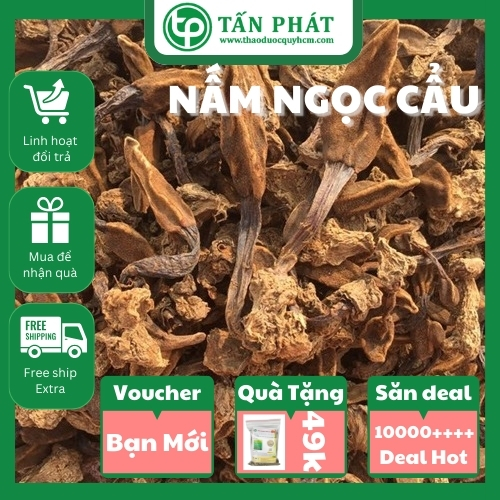 [Hàng mới về] Nấm ngọc cẩu sây khô - tấn phát - Hàng công ty chất lượng cao - tốt cho sức khoẻ của bạn [Túi 200gram]
