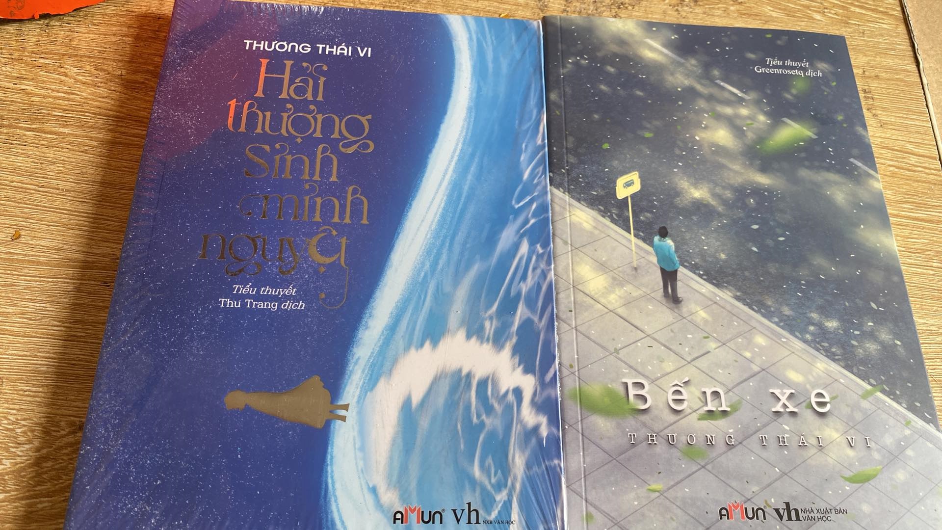Sách - combo bến xe - hải thượng sinh minh nguyệt - thương thái vi