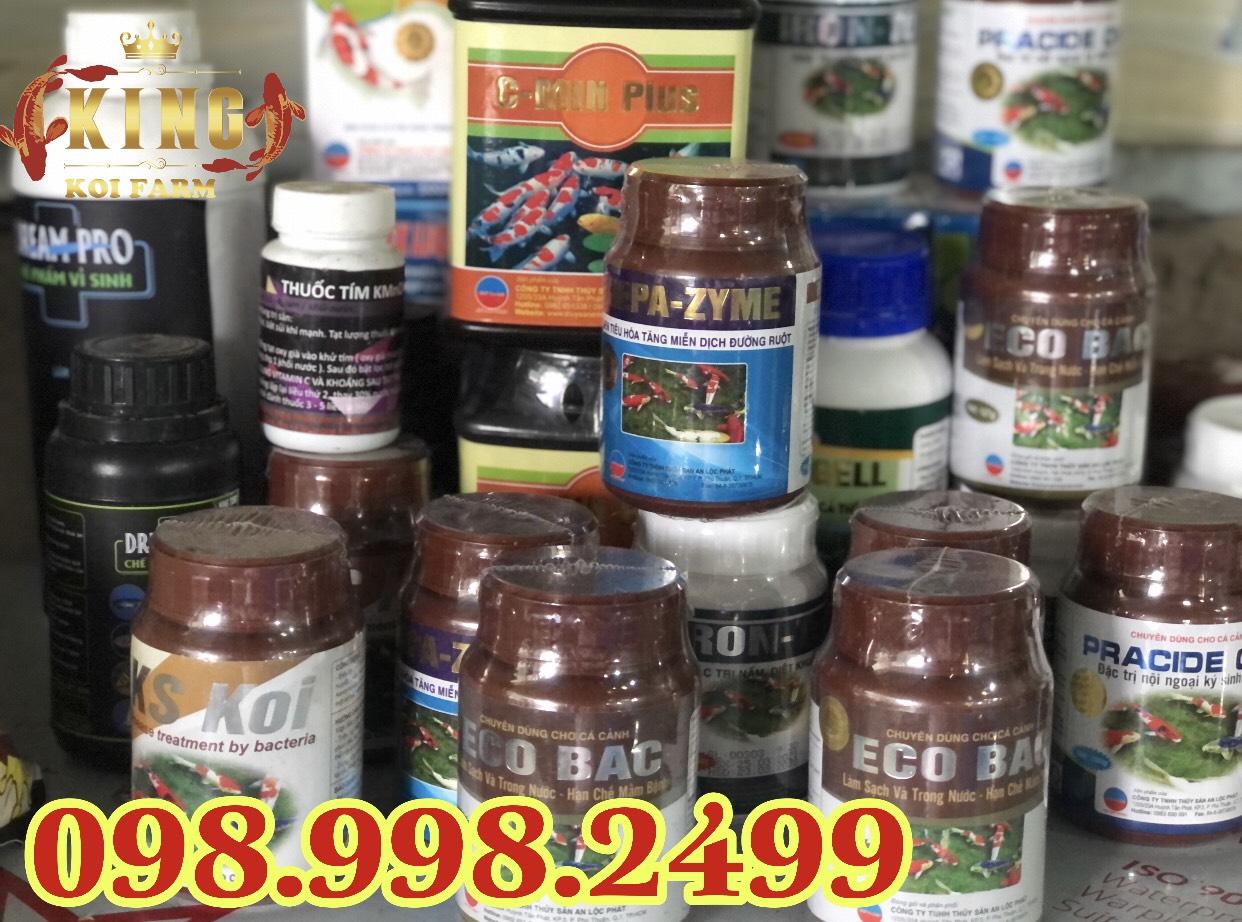 Men vi sinh hồ cá KOI ECO BAC Hủ 127g