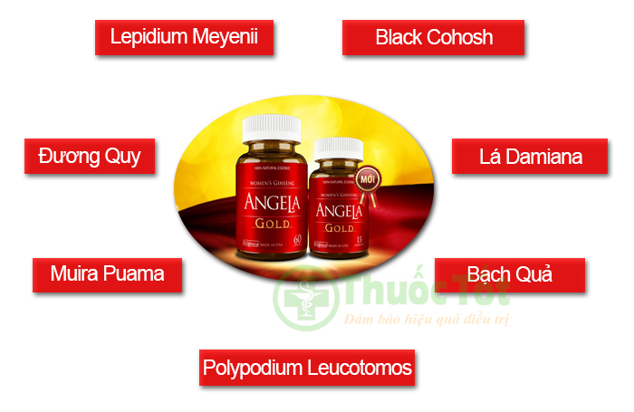 Sâm ANGELA GOLD 60 viên ( Hàng chính hãng TEM TÍCH ĐIỂM)