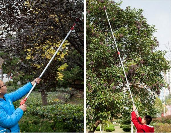 Kéo cắt cành hái quả trên cao 3m (3in1)