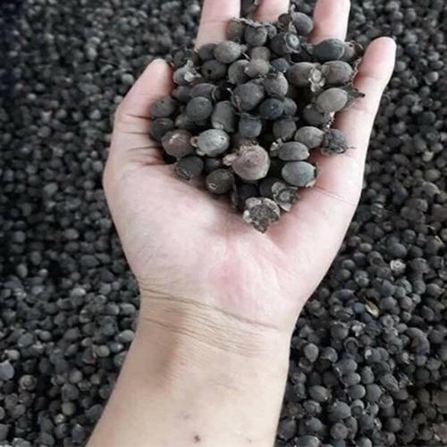 quả sim rừng khô 1kg