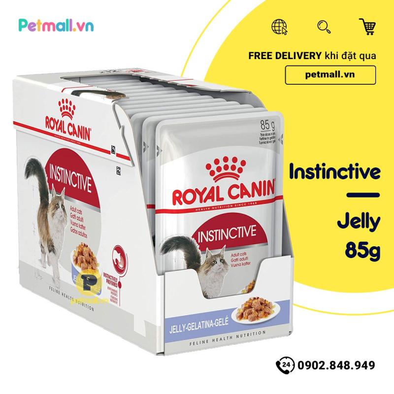 Pate mèo Royal Canin Instinctive Jelly 85g - Hộp 12 gói