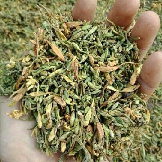 500g hoa đu đủ đực khô