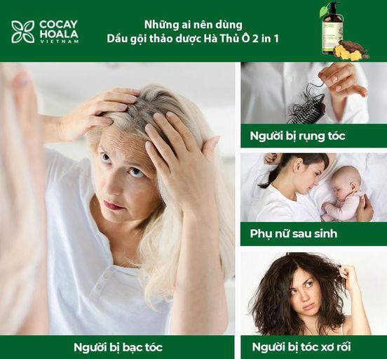 DẦU GỘI THẢO DƯỢC HÀ THỦ Ô (dược liệu thiên nhiên)