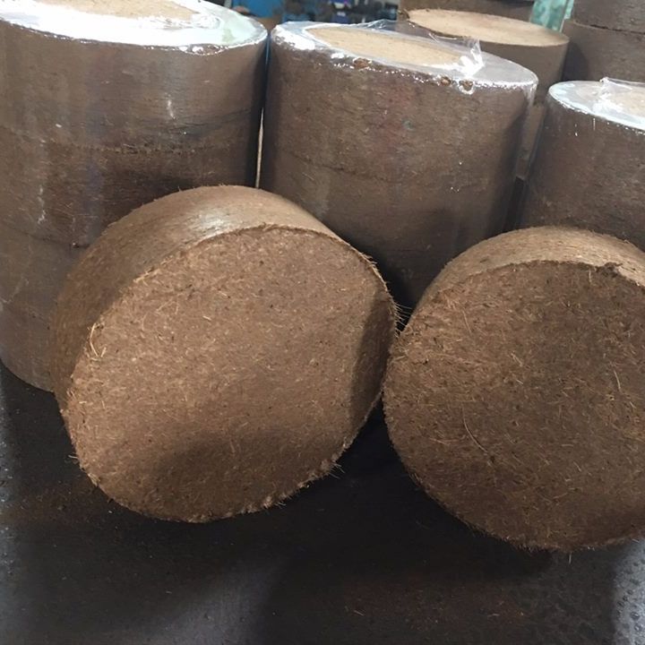 Viên nén mụn dừa hữu cơ trồng rau, trồng cây