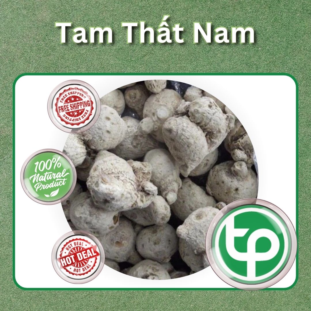 [Hàng mới về] Củ tam thất nam khô 100g - Tấn Phát - Hỗ trợ cải thiện sức khoẻ