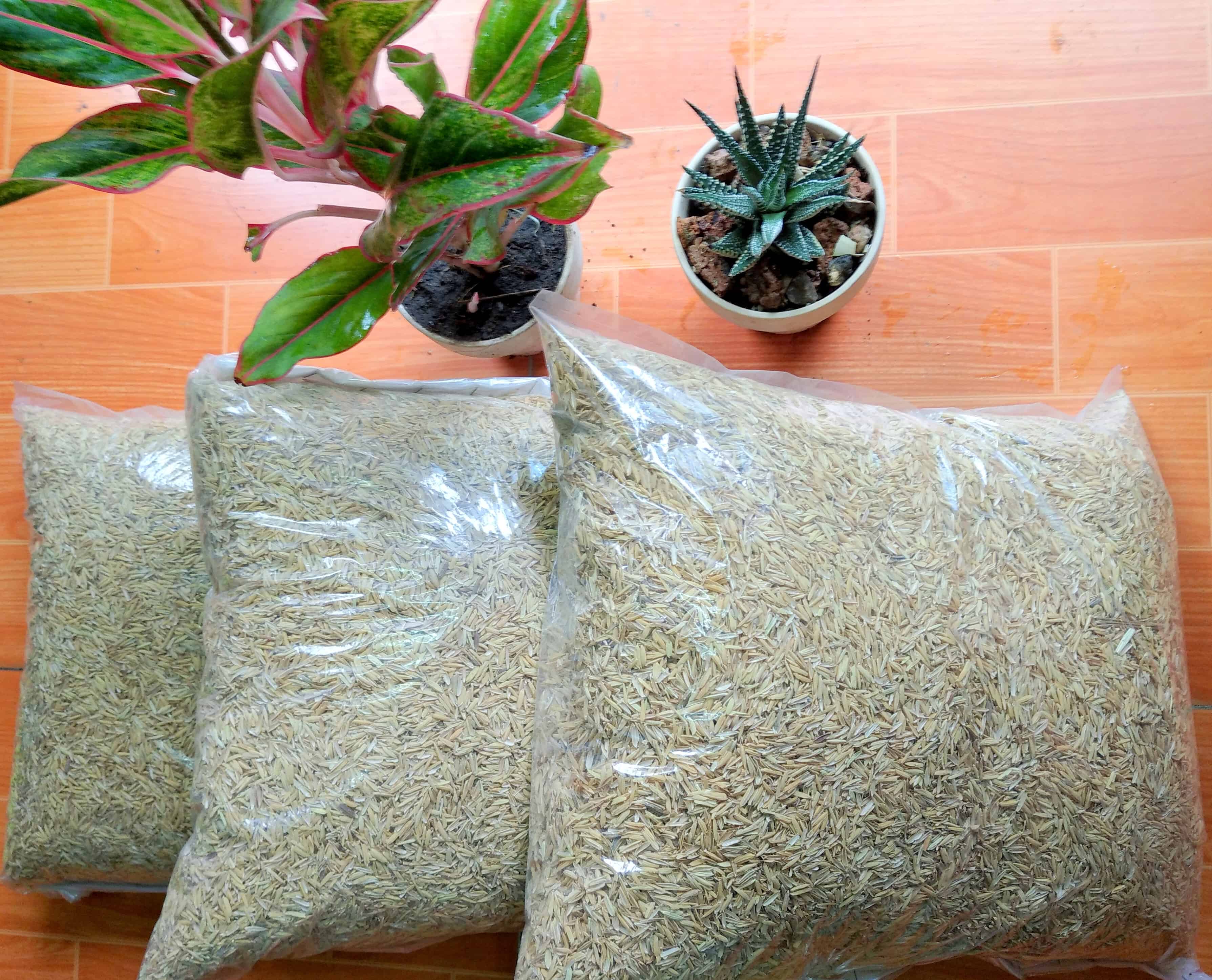 Vỏ trấu trấu sống 1kg