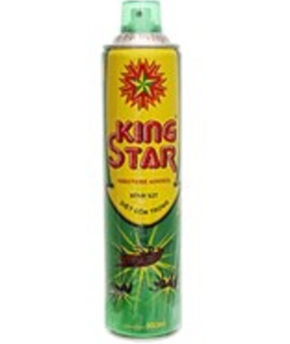 2 Bình xịt muỗi, kiến, côn trùng KING STAR 600ml