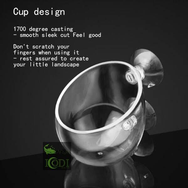 Cốc trồng cây thủy tinh