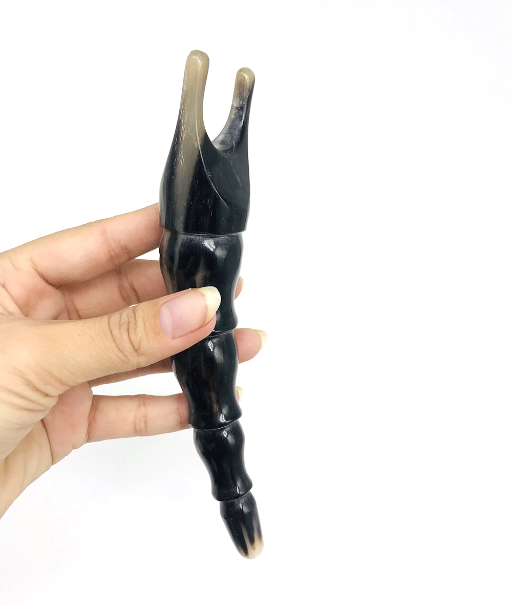 Bọ Cạp Sừng Châu Châu Phi - Càng Cua Giải Cơ