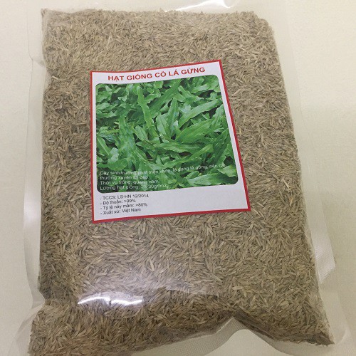 Hạt giống cỏ lá gừng 100gram-tặng kèm gói phân bón lót