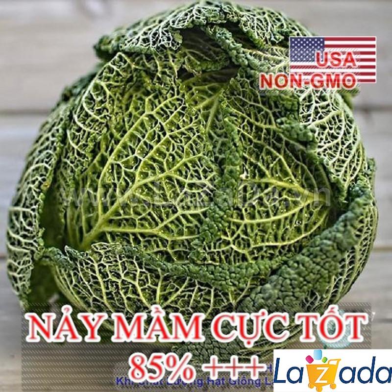 1Gr Hạt Giống Cải Bắp Nhăn Savoy (A1.204| C46*W22*M166)