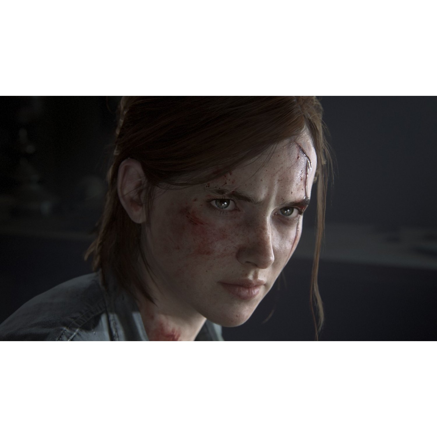 Đĩa Game PS4: The Last of US Part 2