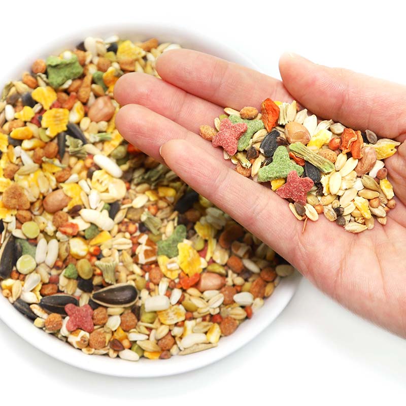 [HCM]Thức Ăn Cao Cấp Cho Hamster 500g