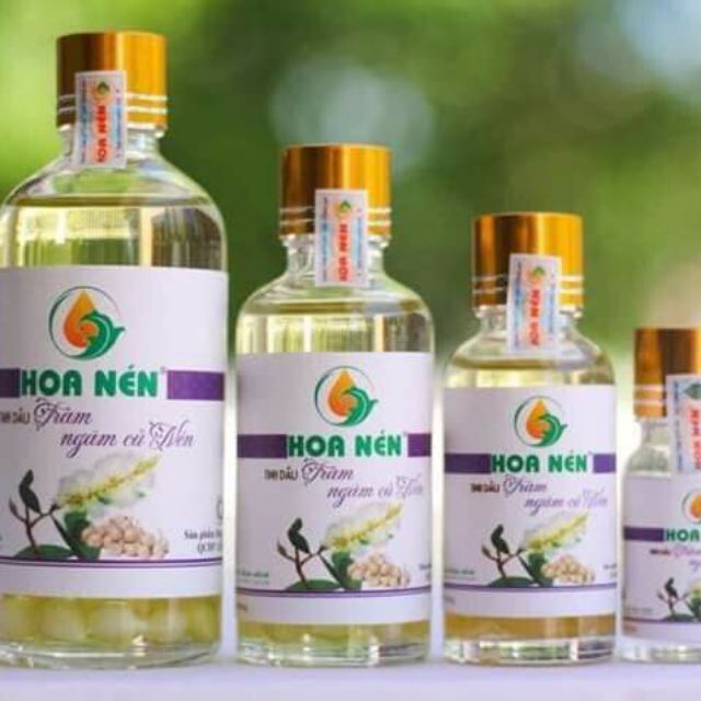 [HCM]Tinh Dầu Tràm Hoa Nén 50Ml