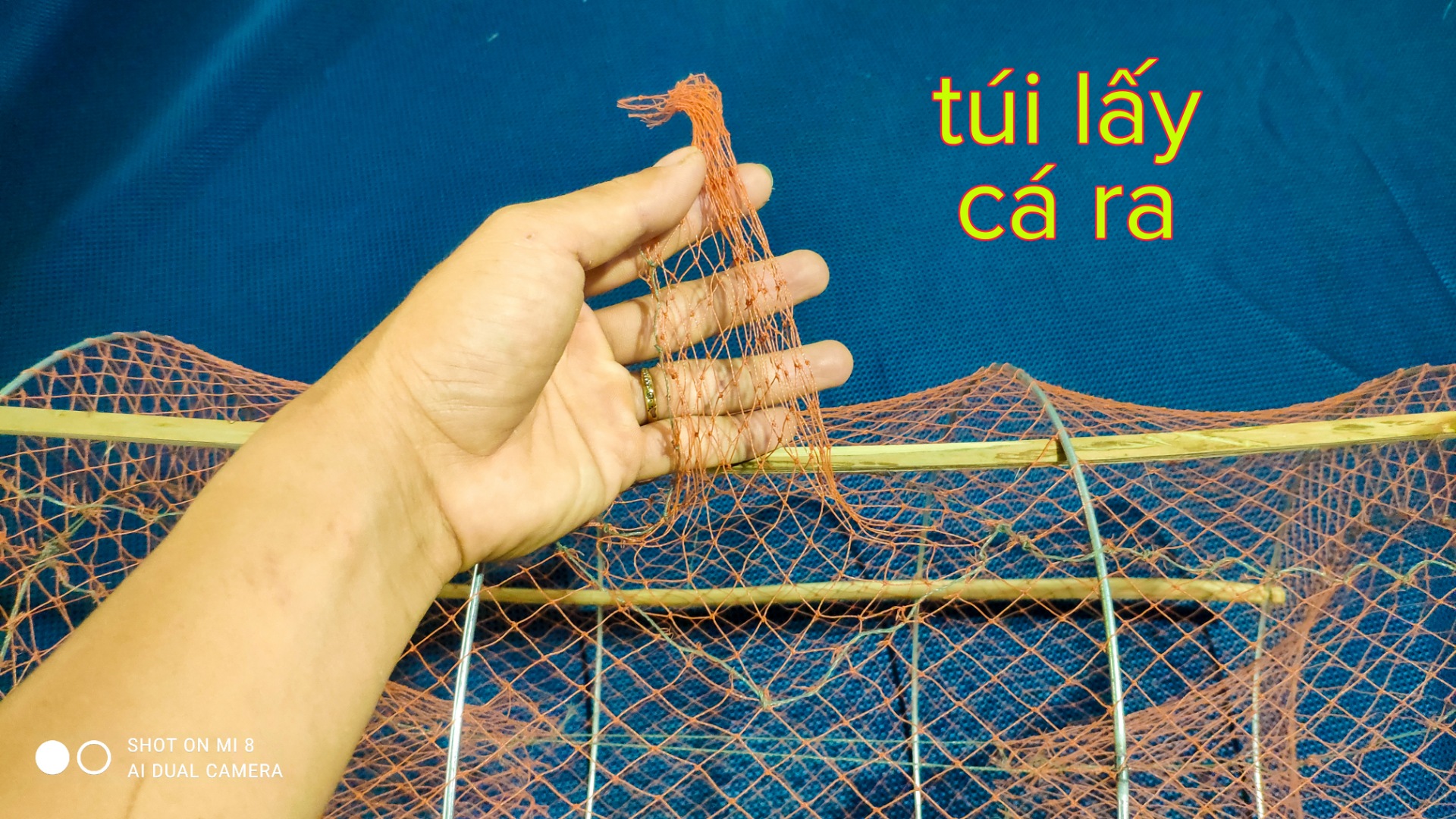 Extremely Effective Trap for Stingray, Perch, Tilapia, and Eel.