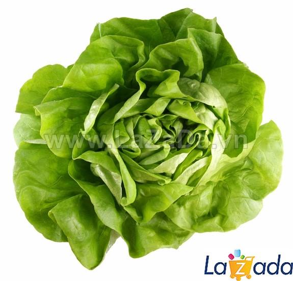 5Gr Hạt Giống Xà Lách Đăm (B1.202| B49*V54*M154)