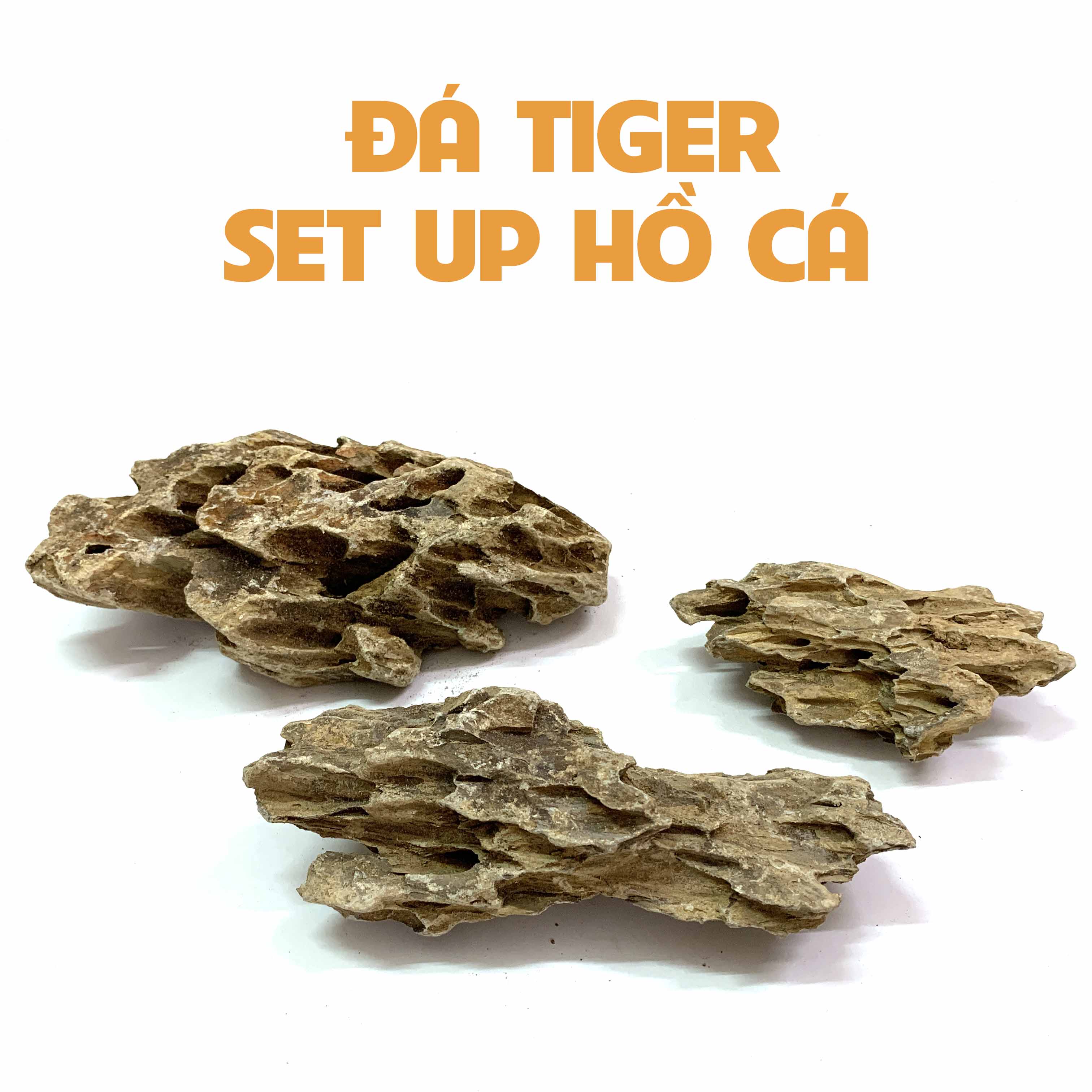 1KG Đá Tiger Setup Hồ Cá Thuỷ Sinh - Đá Tiger Vàng Trang Trí Bể Cá