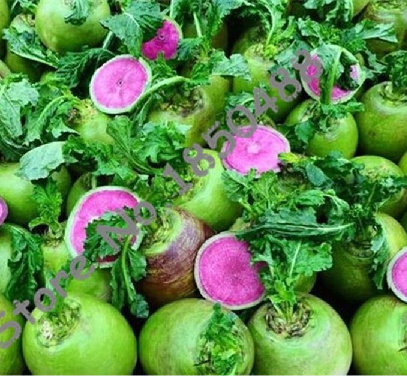 Hạt giống củ cải xanh ruột đỏ 2gram/gói