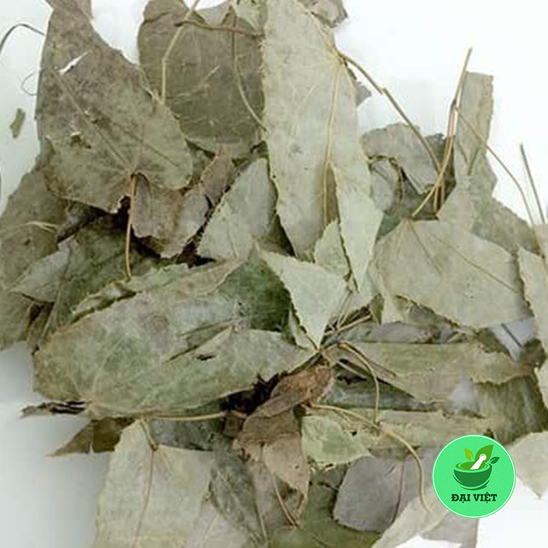 Lá dâm dương hoắc - dv034