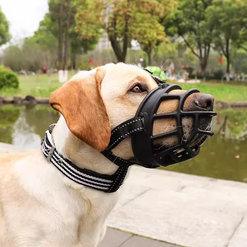 rọ mõm cao cấp dành cho chó - T3 PETS SHOP