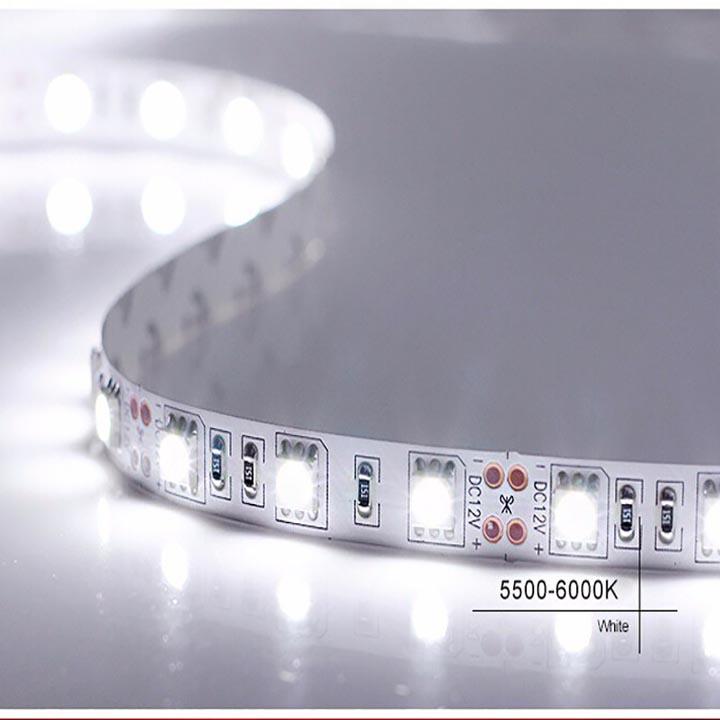 LED DÂY 5050 12V (1 mét)