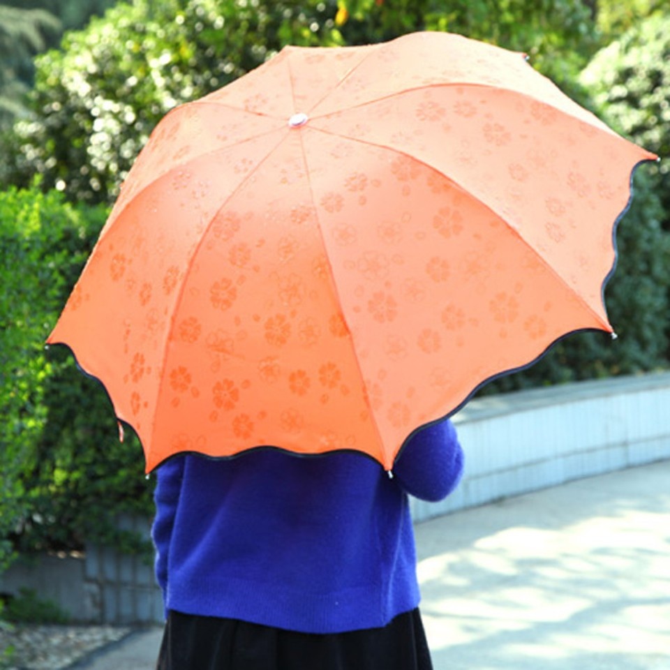 Ô dù gặp nước nở hoa ma thuật độc đáo