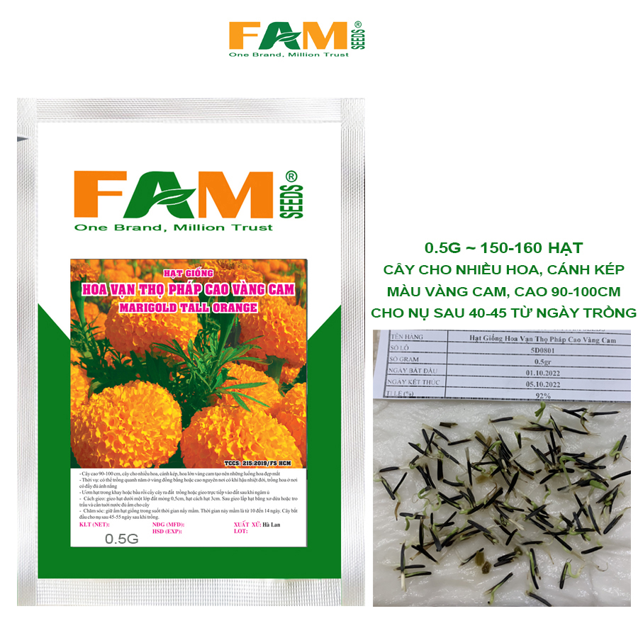 Hạt Giống Hoa Vạn Thọ Pháp Cao Màu Vàng Cam - Gói 0.5g (150-160h), Nảy Mầm >90%, Hoa To, Cao 90-100cm, Cho Nụ Sau 45-50 Từ Ngày Trồng Cây