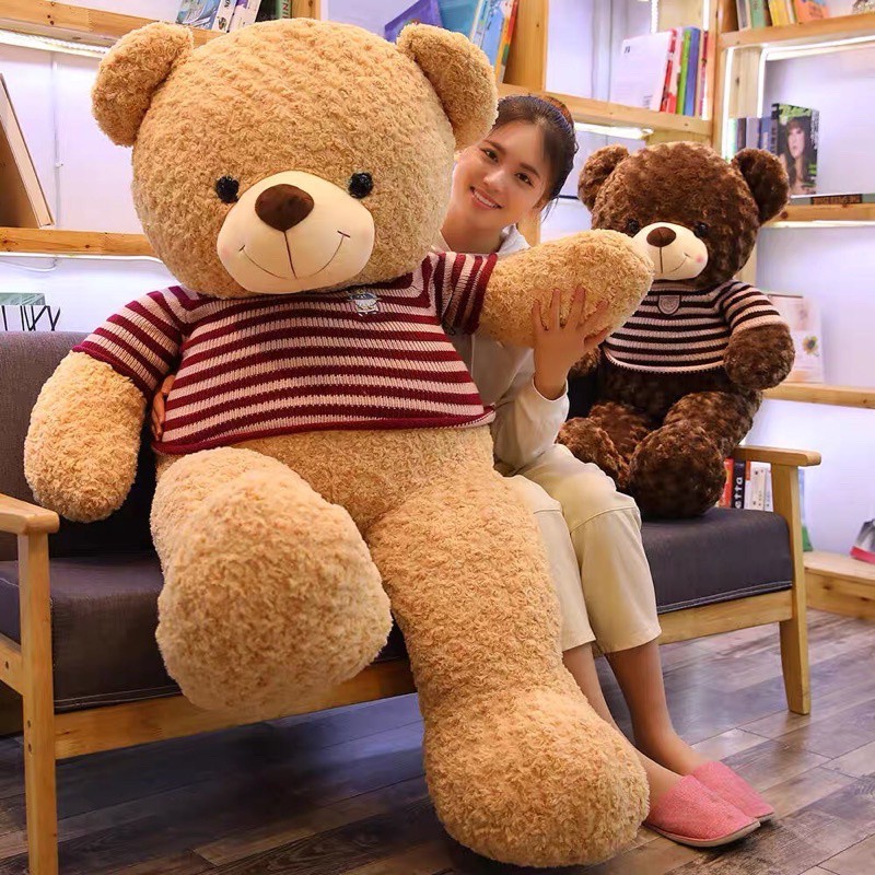 Gấu Bông Teddy 0,8m-1m2-1m8 Gấu Bông To