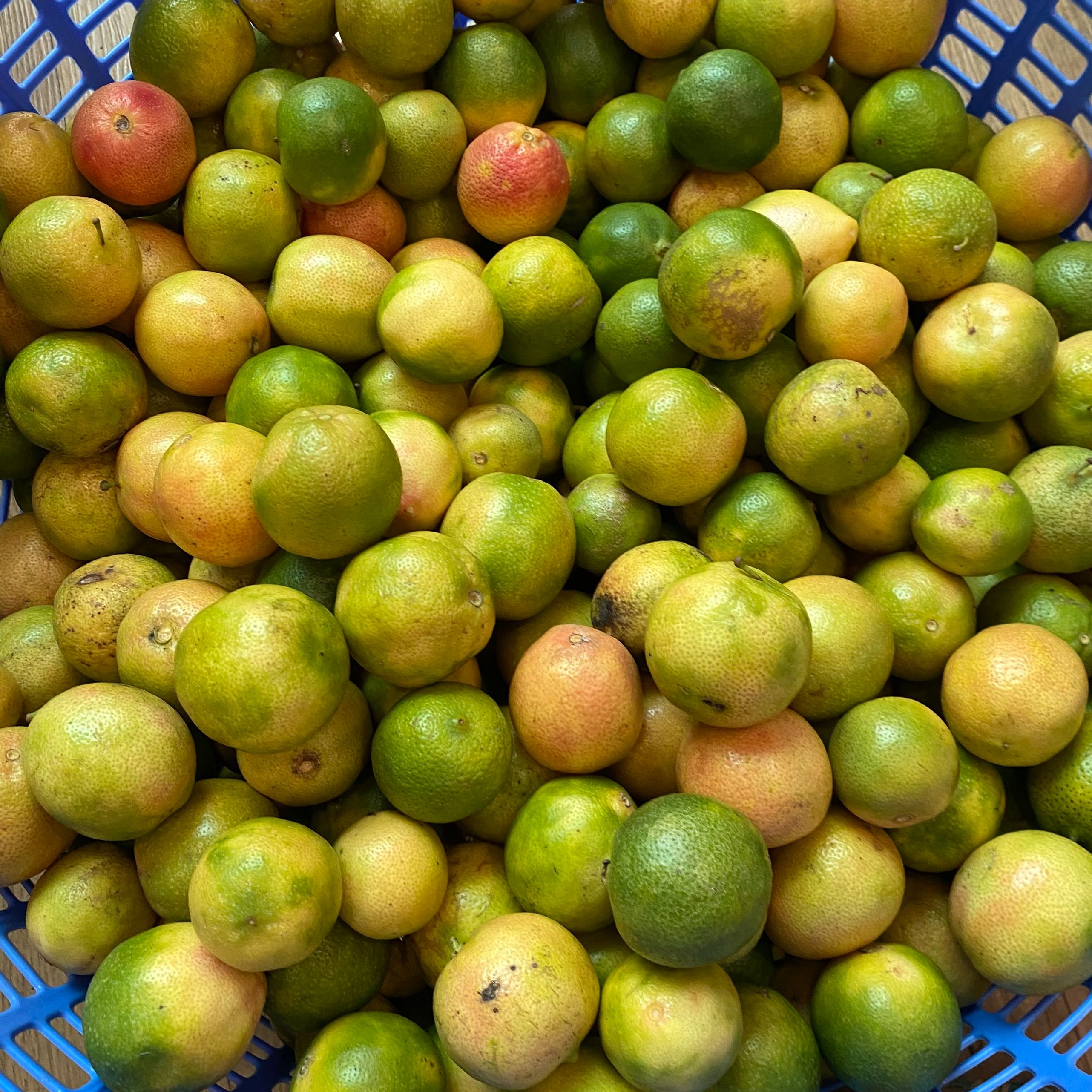 Chanh đào tươi mọng nước 1kg, 500g
