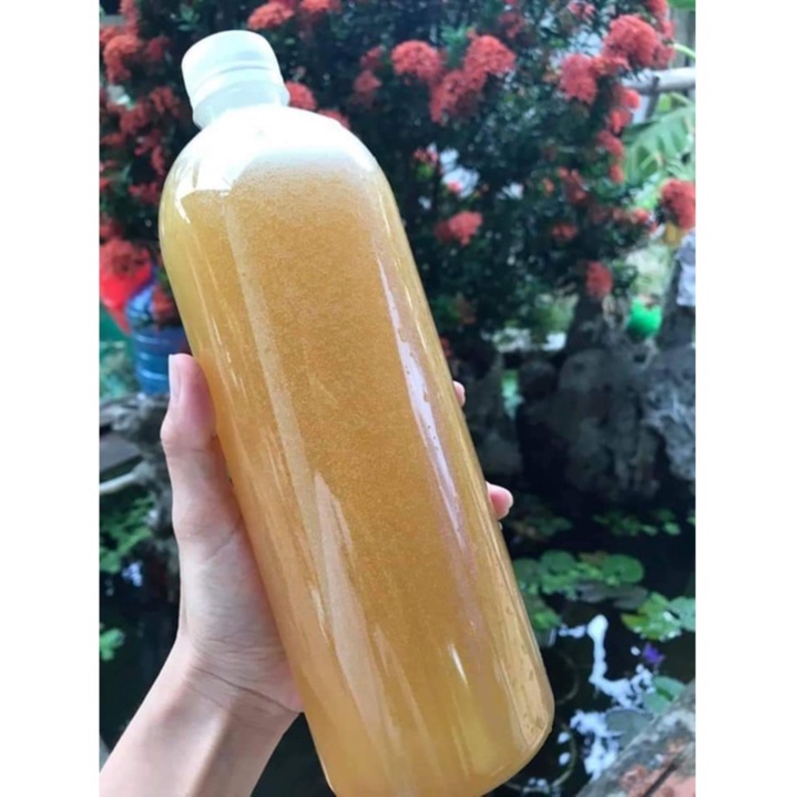 combo 50 chai nhựa 1 lít trơn nắp đen