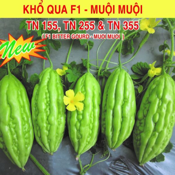 10 hạt giống khổ qua trái ngắn f1