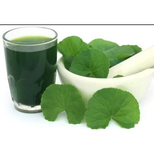 HẠT GIỐNG RAU MÁ