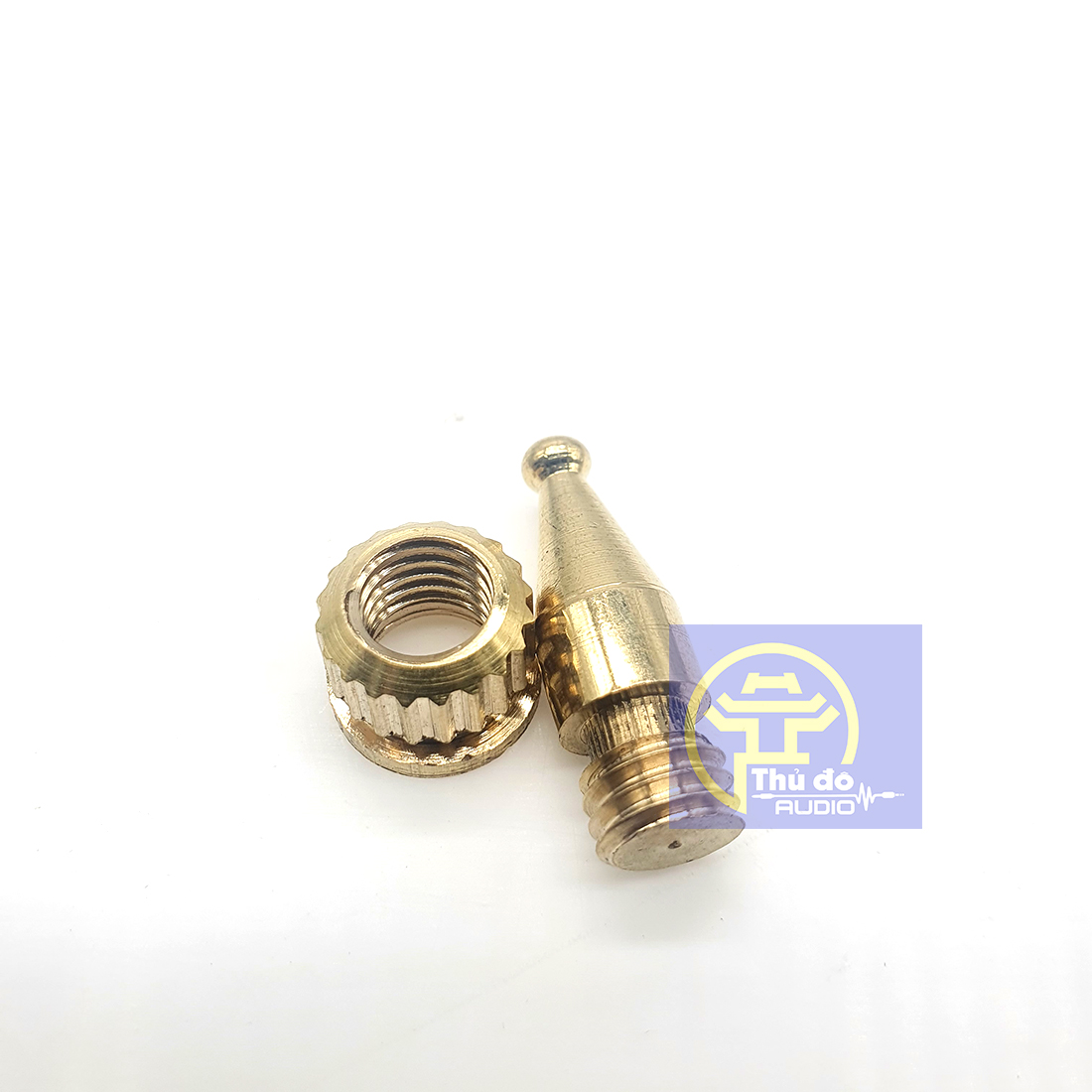01 cái Chân đinh - Chân chống rung cho loa / amply