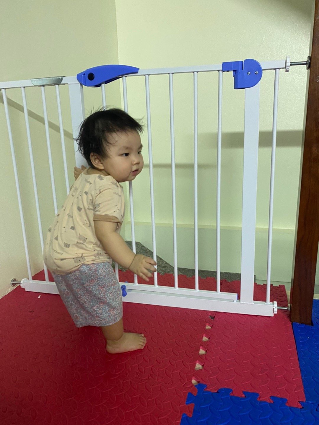 Thanh chắn cửa, thanh chắn cầu thang Royal không cần khoan tường bé an toàn, mẹ an tâm