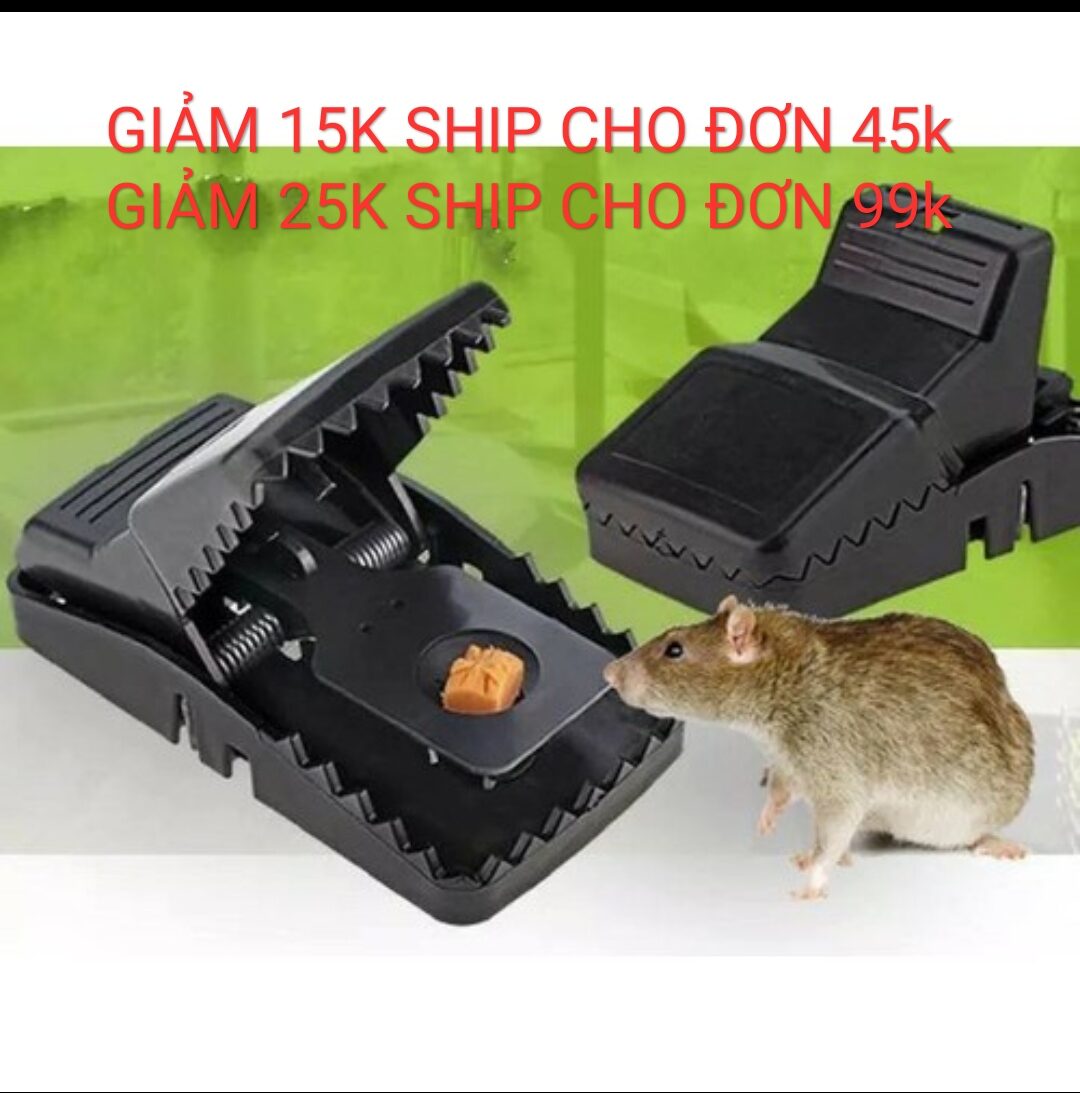 BẪY CHUỘT ĐEN THÔNG MINH [Miễn phí Giao hàng]