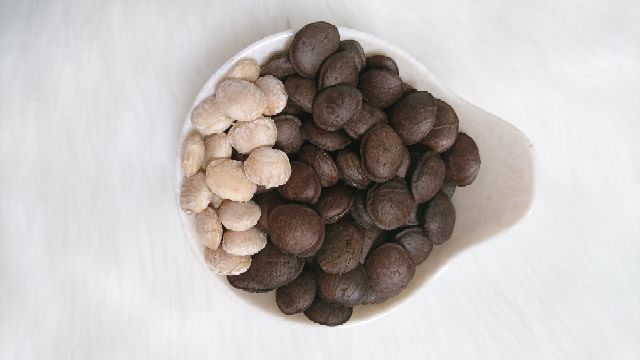 500gr Hạt Sachi Organic ĐăkLăk sấy chín (Hạt Sa chi)