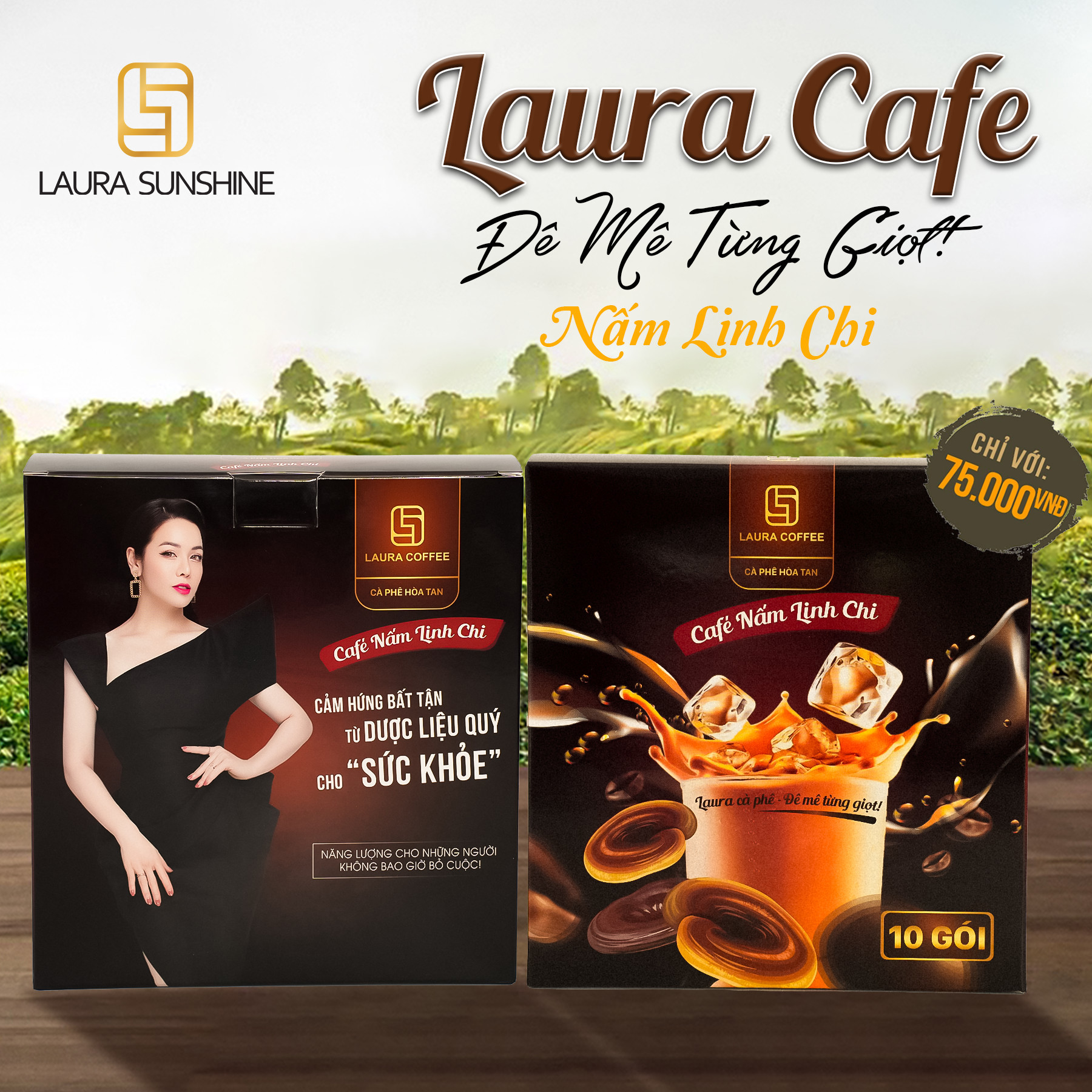 Combo 2 hộp cà phê nấm linh chi nhật kim anh - cà phê laura sunshine