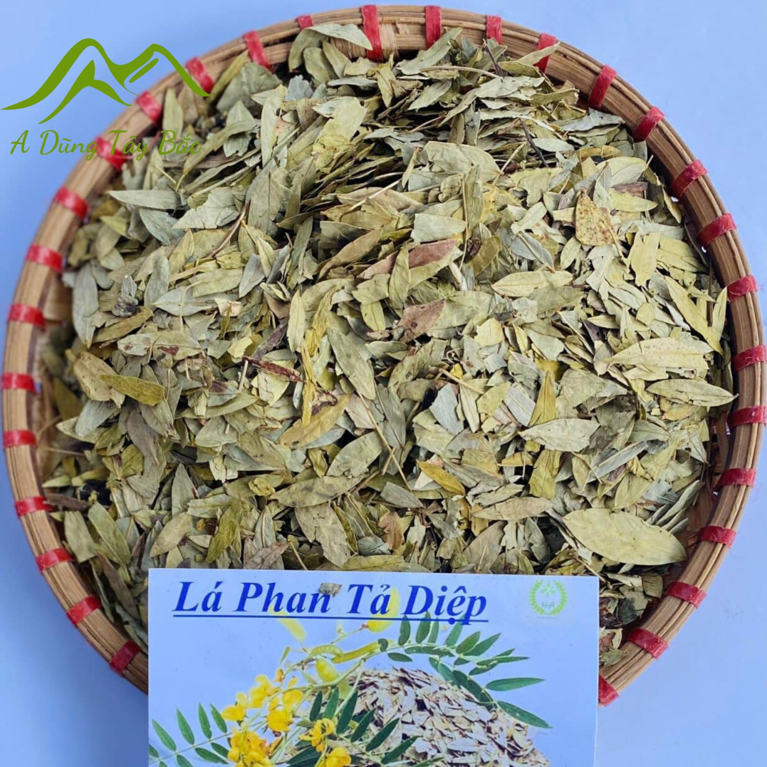 Trà Phan tả diệp sấy khô loại 1, lá phan tả diệp khô giúp giảm cân, xổ mỡ, detox, hỗ trợ tiêu hoá, nhuận tràng