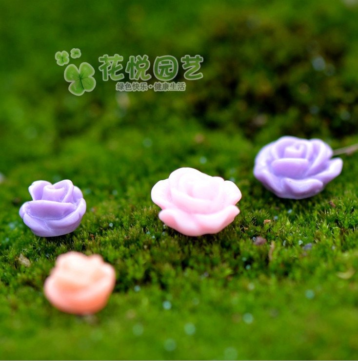 Combo 5 hoa nhỏ trang trí tiểu cảnh thủy sinh terrarium chậu cây cảnh sen đá bánh kem xương rồng